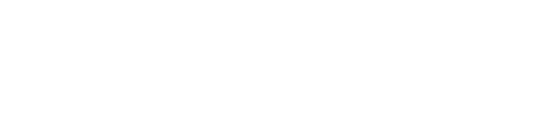 logo arena white